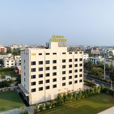 Hotel Marigold Jaipur Eksteriør billede
